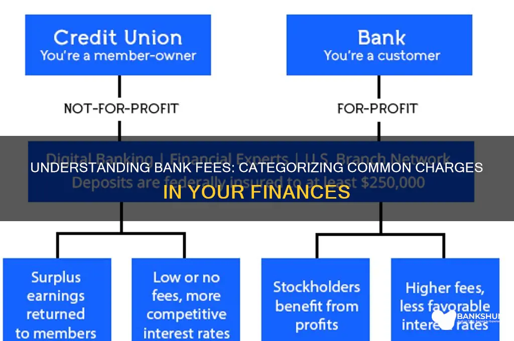 what category do bank fees fall under