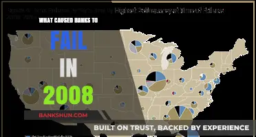 2008 Financial Crisis: Unraveling the Causes of Bank Failures