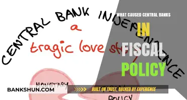 Exploring the Factors Behind Central Banks' Role in Fiscal Policy