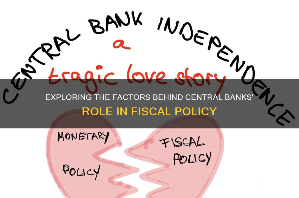 what caused central banks in fiscal policy