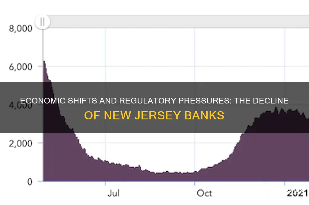 what caused new jersey banks to decline