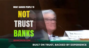 Why Do People Distrust Banks? Uncovering the Erosion of Financial Trust
