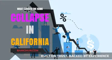 California Bank Collapse: Unraveling the Financial Crisis and Its Causes