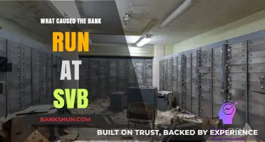 Unraveling the SVB Bank Run: Key Triggers and Consequences