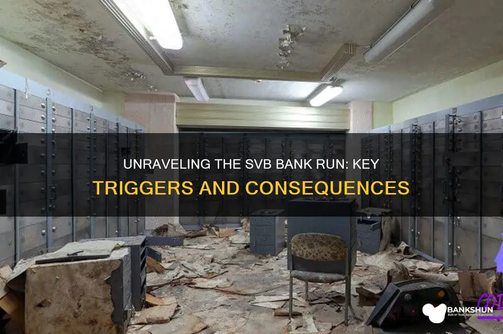 what caused the bank run at svb