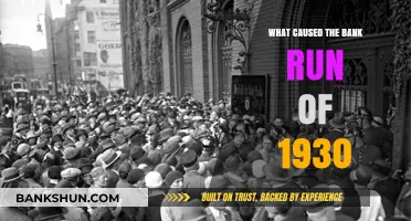 Unraveling the Panic: Causes Behind the 1930 Bank Run Crisis