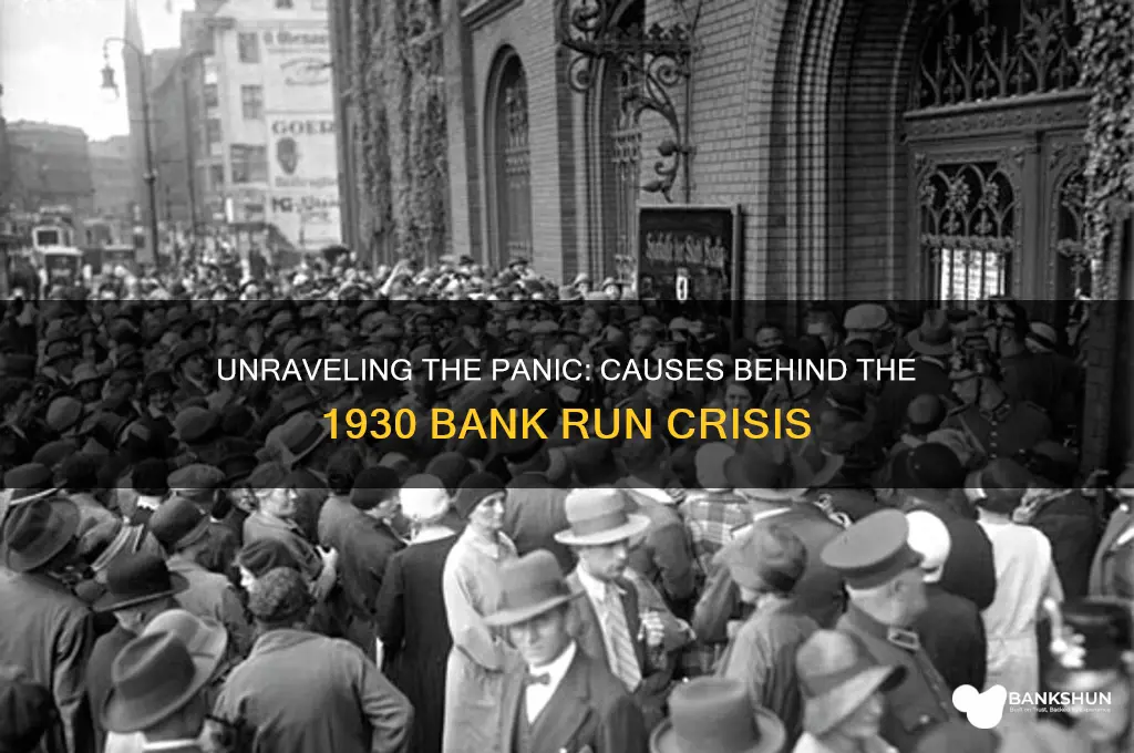 what caused the bank run of 1930