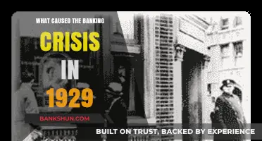 Unraveling the 1929 Banking Crisis: Causes and Economic Collapse