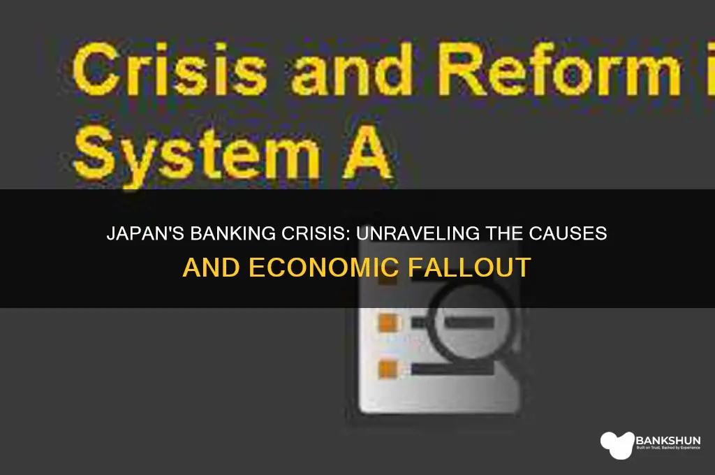 what caused the banking crisis in japan