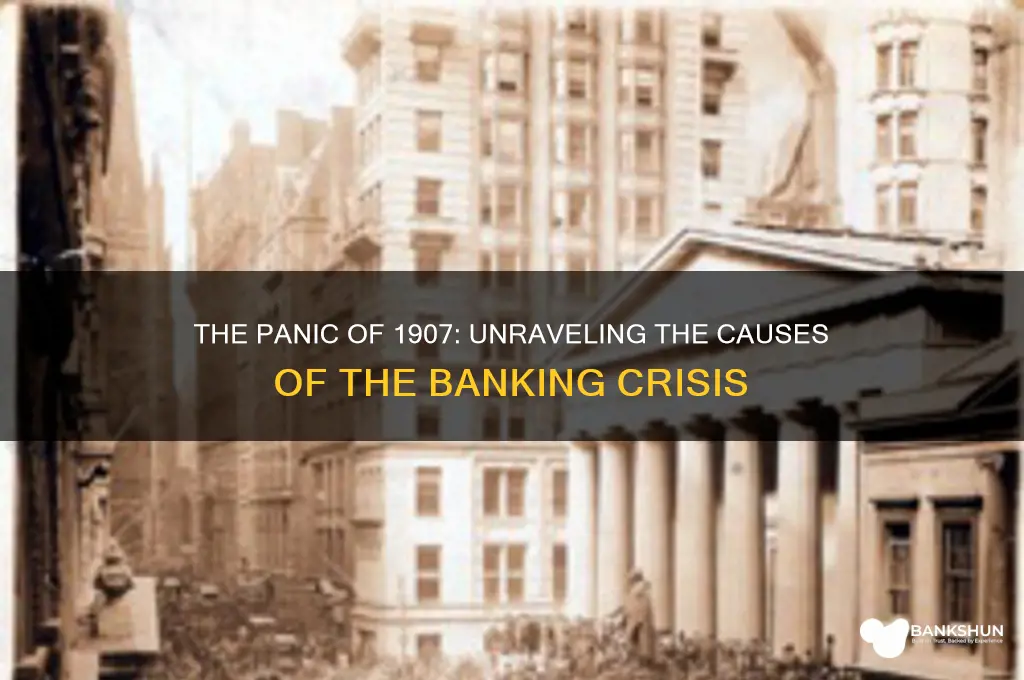 what caused the banking crisis of 1907
