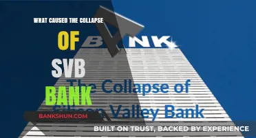 Unraveling the SVB Bank Collapse: Key Factors and Lessons Learned