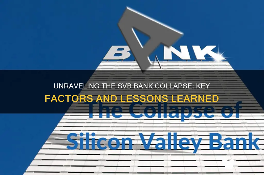 what caused the collapse of svb bank