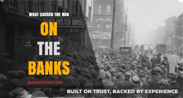 Panic and Collapse: Unraveling the Triggers of the Bank Run Crisis