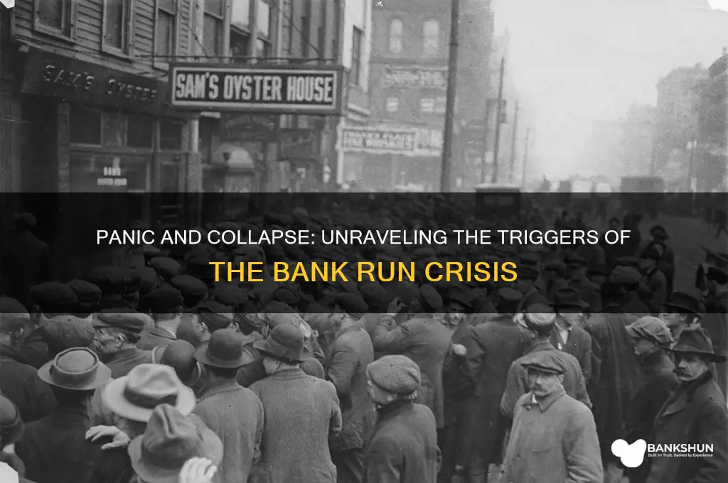 what caused the run on the banks