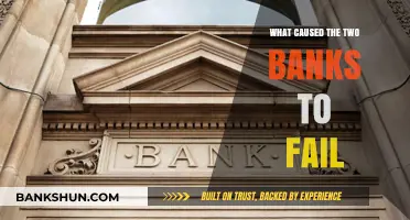 Unraveling the Collapse: Key Factors Behind Two Banks' Failure