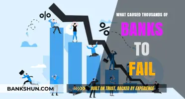 The Great Bank Collapse: Unraveling the Causes of Widespread Failures