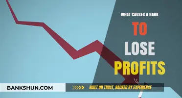 Understanding the Key Factors Behind a Bank's Profit Decline