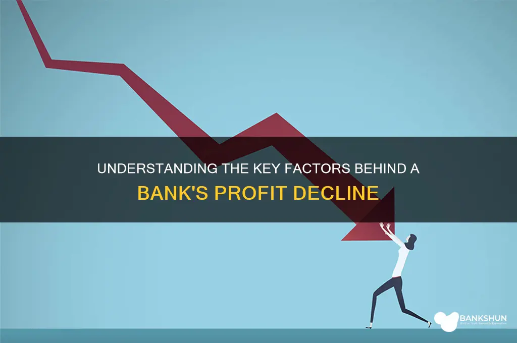 what causes a bank to lose profits