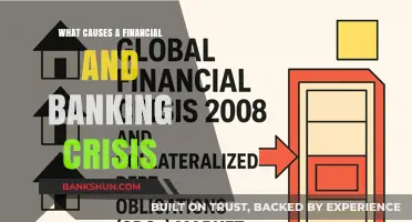 Unraveling the Triggers: What Causes Financial and Banking Crises?