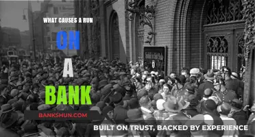 Understanding Bank Runs: Causes and Consequences of Financial Panic