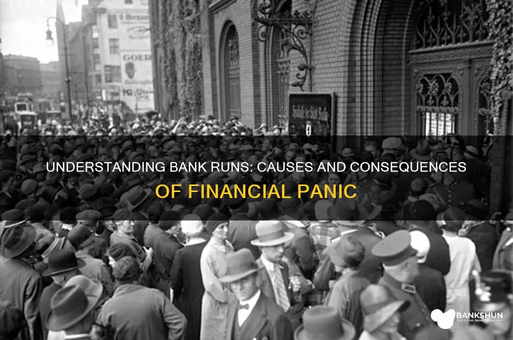 what causes a run on a bank