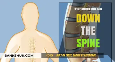 Understanding the Causes of Persistent Bank Pain Down the Spine