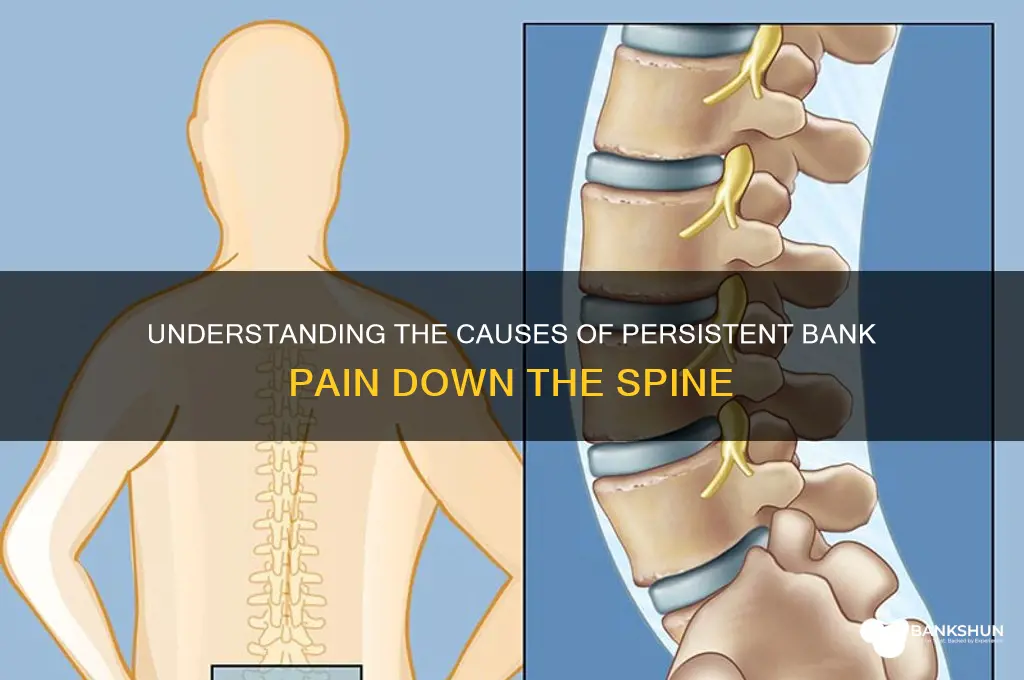 what causes bank pain down the spine