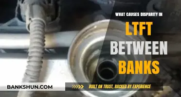 Understanding the Factors Driving LTFT Disparity Among Banks