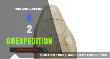 Understanding Lean Bank 1 & 2 Causes in a 1998 Expedition