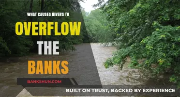 Understanding River Overflow: Causes Behind Banks Breaching and Flooding