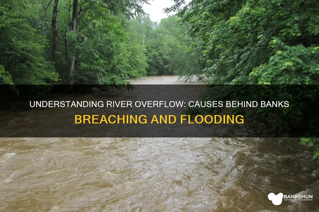 what causes rivers to overflow the banks