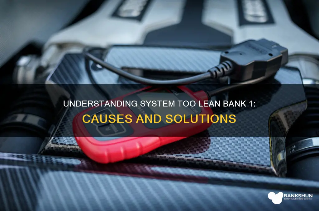 what causes system too lean bank 1