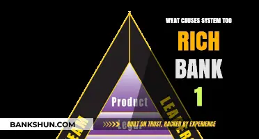 Understanding System Too Rich Bank 1: Causes and Solutions