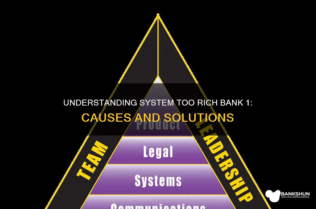 what causes system too rich bank 1