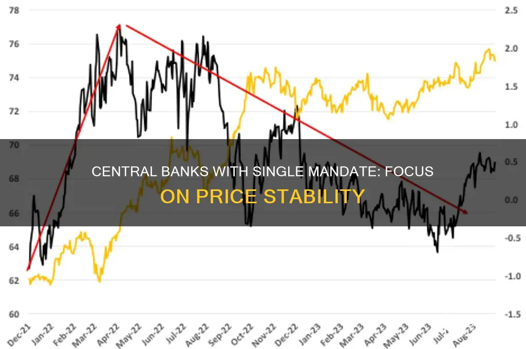 what central banks have a single mandate