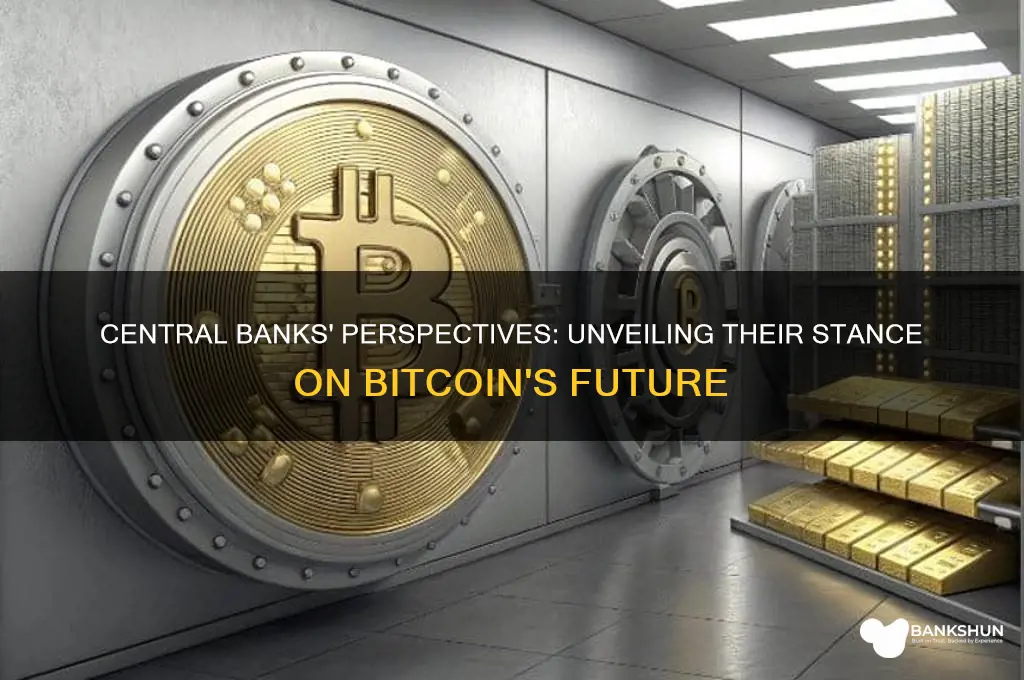 what central banks really think about bitcoin