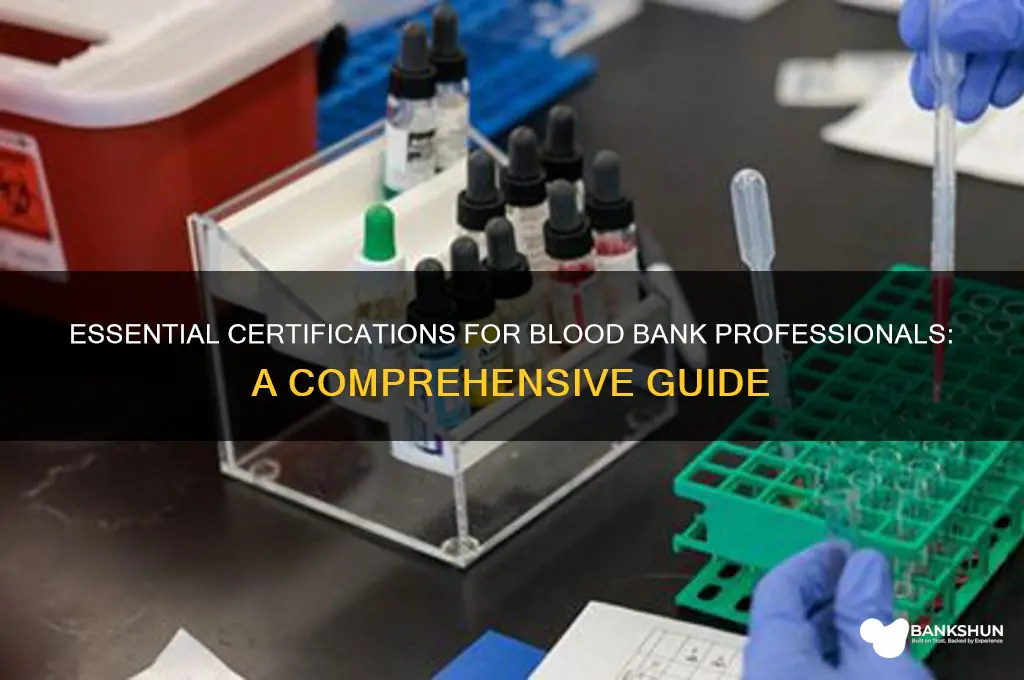 what certification you need for blood bank