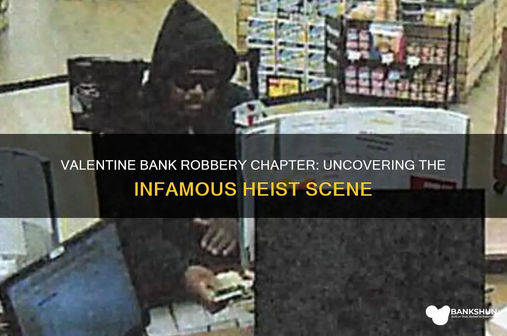 what chapter is the valentine bank robbery