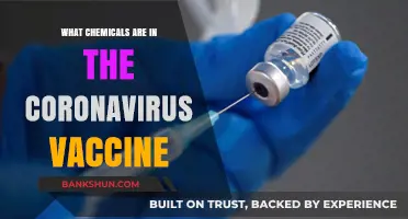 Unveiling the Safe Chemical Components in COVID-19 Vaccines