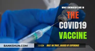 Unveiling the Key Ingredients in COVID-19 Vaccines: A Chemical Breakdown