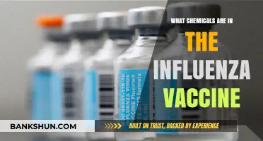 Understanding the Chemical Composition of Influenza Vaccines: A Breakdown