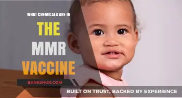 MMR Vaccine Ingredients: Understanding the Chemicals and Their Safety