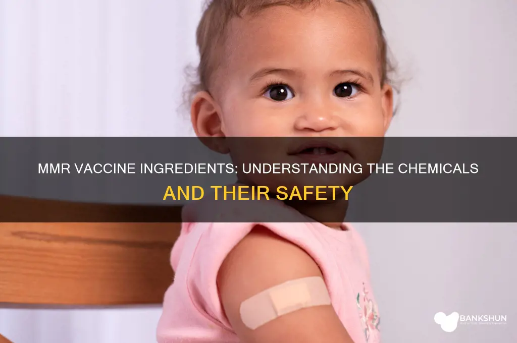 what chemicals are in the mmr vaccine