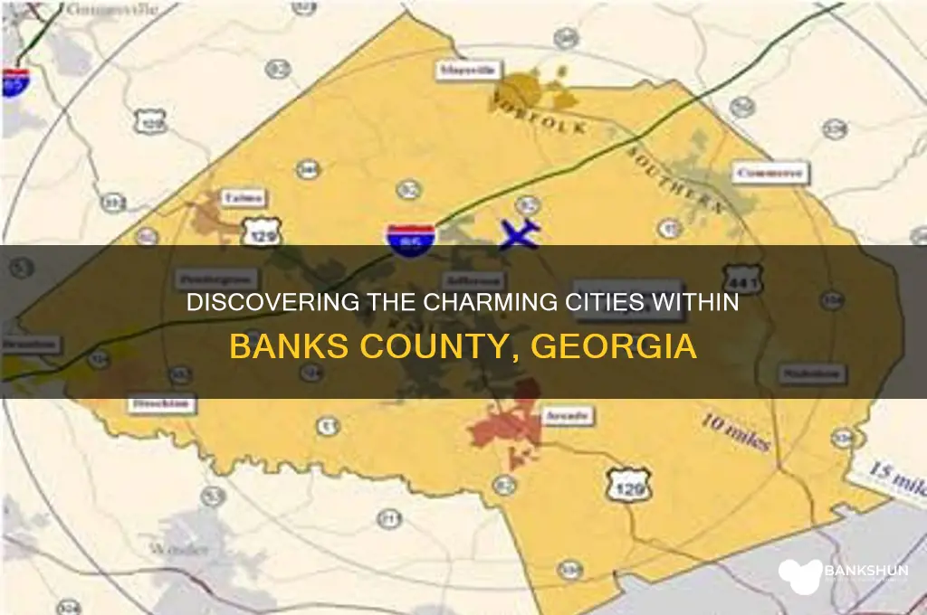 what cities are in banks county ga