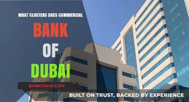Commercial Bank of Dubai's Strategic Cluster Approach Explained