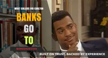 Where Did Carlton Banks Attend College? Uncovering His Academic Journey