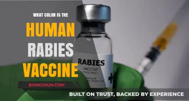 Unveiling the Hue: What Color is the Human Rabies Vaccine?