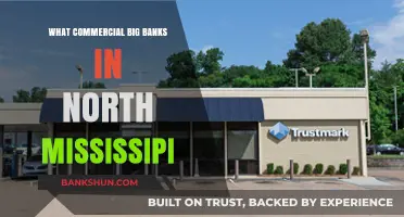 Exploring North Mississippi's Leading Commercial Big Banks and Services