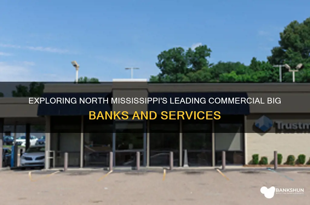 what commercial big banks in north mississipi