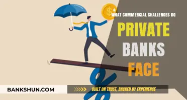 Navigating Commercial Hurdles: Key Challenges for Private Banks Today